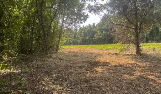 Photo #10 of Off Goodman Road, Lot 4, Pelham, NC 4.5 acres