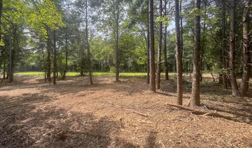 Photo #15 of Off Goodman Road, Lot 4, Pelham, NC 4.5 acres
