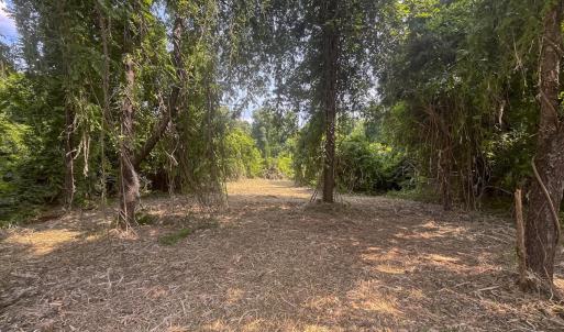 Photo #18 of Off Goodman Road, Lot 4, Pelham, NC 4.5 acres