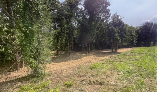 Photo #25 of Off Goodman Road, Lot 4, Pelham, NC 4.5 acres