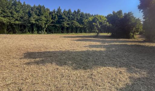 Photo #6 of Lot-5, Off Goodman Road, Pelham, NC 7.4 acres