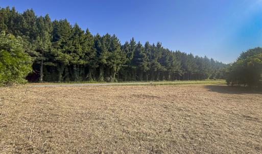 Photo #18 of Lot-5, Off Goodman Road, Pelham, NC 7.4 acres