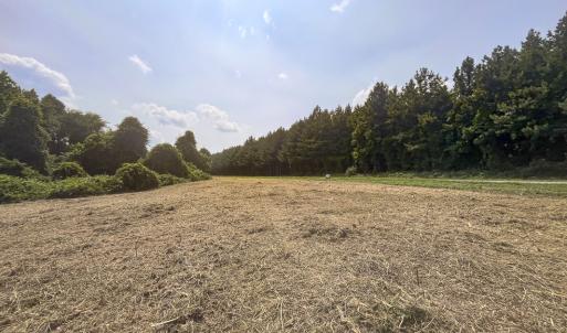Photo #9 of Off Goodman Road, Lot-6, Pelham, NC 8.6 acres