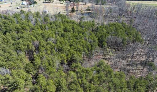 Photo #17 of Off Goodman Road, Lot-6, Pelham, NC 8.6 acres