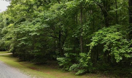Photo #13 of 1535 Wildwood Drive, Oxford, NC 1.9 acres