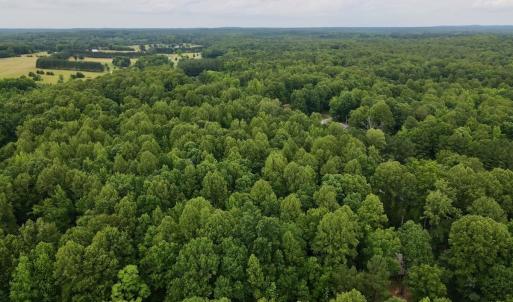 Photo #5 of 1535 Wildwood Drive, Oxford, NC 1.9 acres