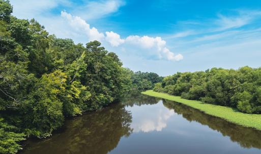Photo #13 of 112 Acres Mill Road, Emporia, VA 112.0 acres