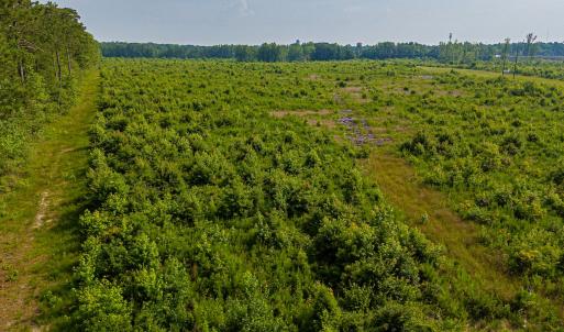 Photo #17 of 112 Acres Mill Road, Emporia, VA 112.0 acres