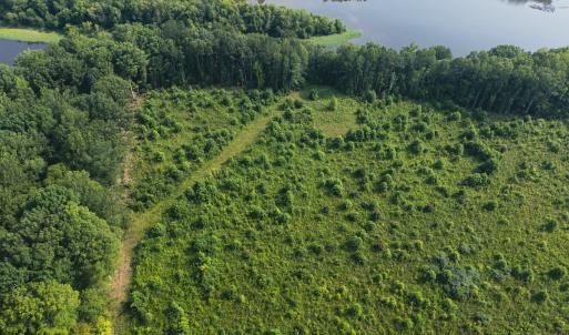Photo #18 of 112 Acres Mill Road, Emporia, VA 112.0 acres