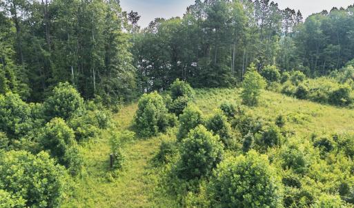 Photo #19 of 112 Acres Mill Road, Emporia, VA 112.0 acres