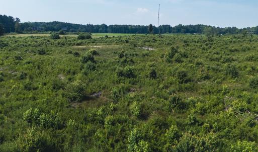 Photo #23 of 112 Acres Mill Road, Emporia, VA 112.0 acres