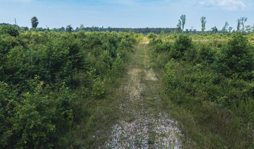 Photo #24 of 112 Acres Mill Road, Emporia, VA 112.0 acres