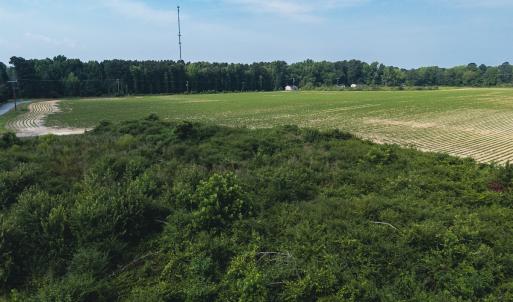 Photo #28 of 112 Acres Mill Road, Emporia, VA 112.0 acres