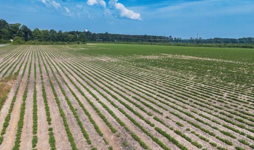Photo #29 of 112 Acres Mill Road, Emporia, VA 112.0 acres