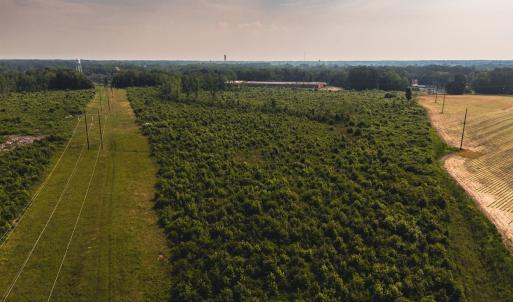 Photo #31 of 112 Acres Mill Road, Emporia, VA 112.0 acres