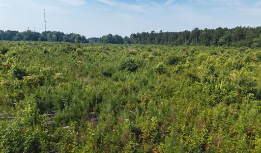 Photo #33 of 112 Acres Mill Road, Emporia, VA 112.0 acres