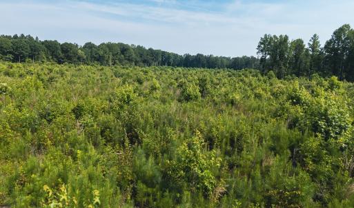 Photo #34 of 112 Acres Mill Road, Emporia, VA 112.0 acres