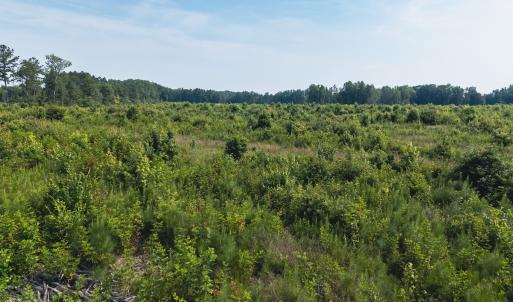 Photo #35 of 112 Acres Mill Road, Emporia, VA 112.0 acres