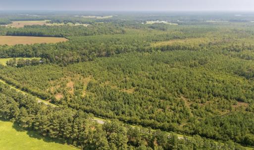 Photo #1 of Off Fountaintown Road, Beulaville, NC 28.6 acres