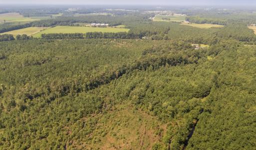 Photo #9 of Off Fountaintown Road, Beulaville, NC 28.6 acres
