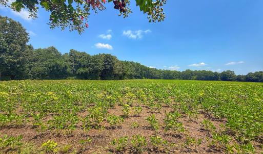 Photo #45 of off Hwy 70 W, Goldsboro, NC 10.0 acres