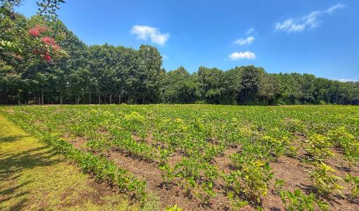 Photo #46 of off Hwy 70 W, Goldsboro, NC 10.0 acres