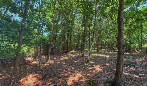 Photo #49 of off Hwy 70 W, Goldsboro, NC 10.0 acres