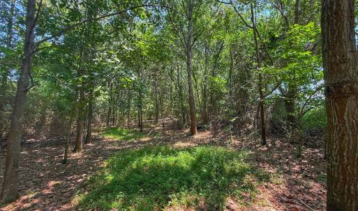 Photo #50 of off Hwy 70 W, Goldsboro, NC 10.0 acres