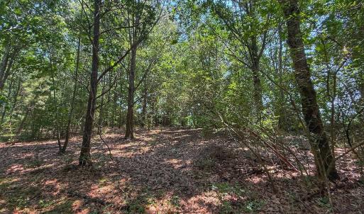 Photo #51 of off Hwy 70 W, Goldsboro, NC 10.0 acres