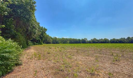 Photo #53 of off Hwy 70 W, Goldsboro, NC 10.0 acres