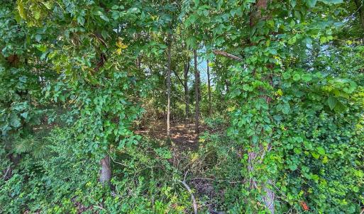 Photo #55 of off Hwy 70 W, Goldsboro, NC 10.0 acres