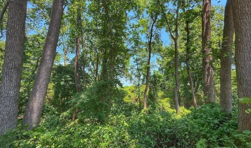 Photo #56 of off Hwy 70 W, Goldsboro, NC 10.0 acres
