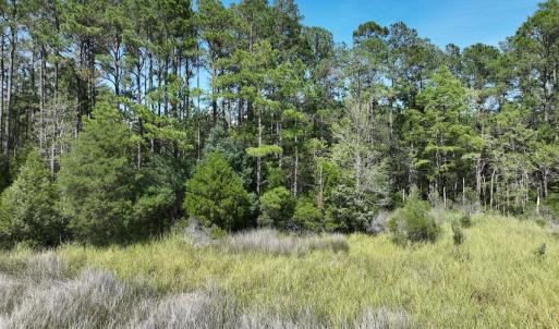 Photo #8 of 175 North Berne Landing Road, New Bern, NC 3.5 acres