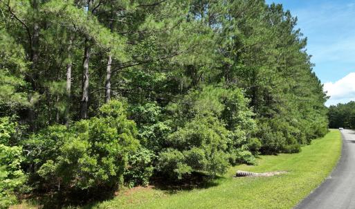 Photo #9 of 175 North Berne Landing Road, New Bern, NC 3.5 acres