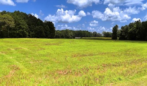 Photo #1 of 481 Nine Mile Rd, Maple Hill, NC 65.3 acres