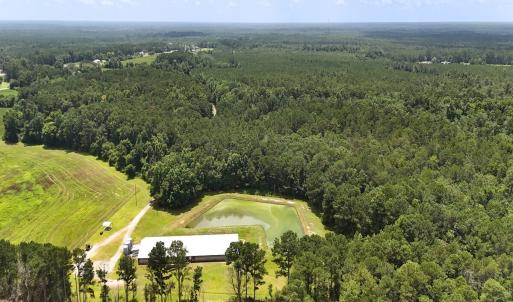 Photo #10 of 481 Nine Mile Rd, Maple Hill, NC 65.3 acres