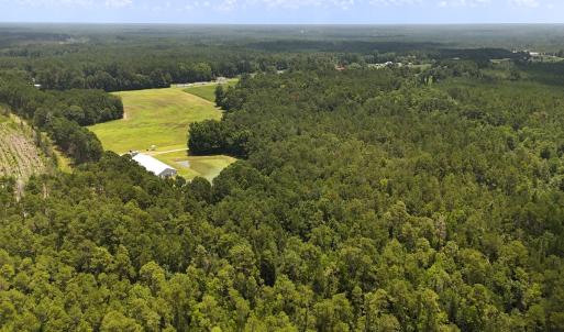 Photo #11 of 481 Nine Mile Rd, Maple Hill, NC 65.3 acres