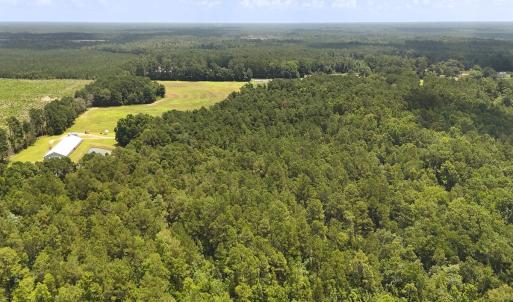 Photo #13 of 481 Nine Mile Rd, Maple Hill, NC 65.3 acres
