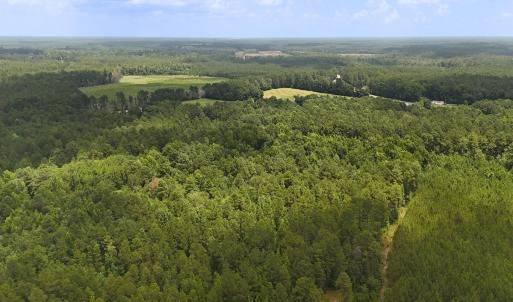 Photo #15 of 481 Nine Mile Rd, Maple Hill, NC 65.3 acres