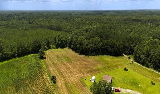 Photo #19 of 481 Nine Mile Rd, Maple Hill, NC 65.3 acres