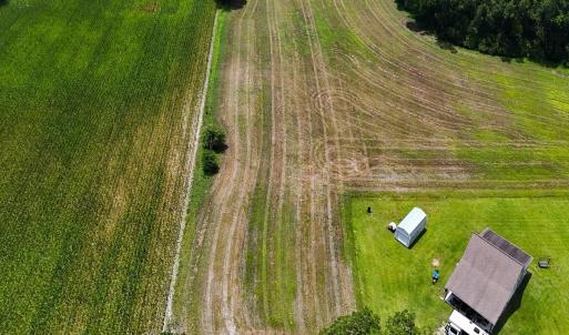 Photo #20 of 481 Nine Mile Rd, Maple Hill, NC 65.3 acres