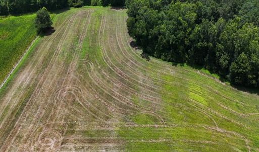 Photo #27 of 481 Nine Mile Rd, Maple Hill, NC 65.3 acres