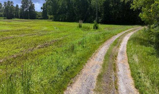 Photo #28 of 481 Nine Mile Rd, Maple Hill, NC 65.3 acres