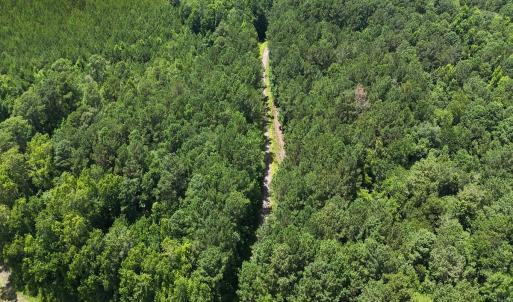 Photo #29 of 481 Nine Mile Rd, Maple Hill, NC 65.3 acres