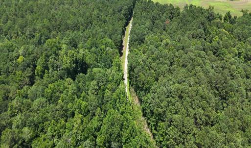 Photo #30 of 481 Nine Mile Rd, Maple Hill, NC 65.3 acres