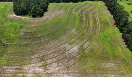Photo #32 of 481 Nine Mile Rd, Maple Hill, NC 65.3 acres