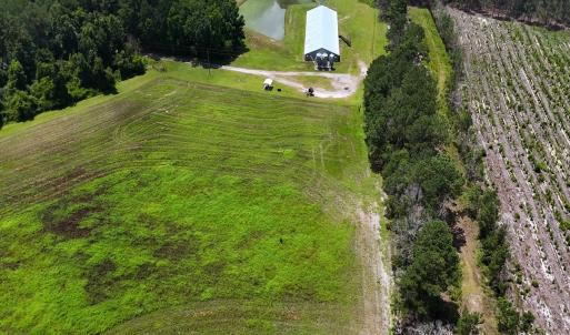 Photo #34 of 481 Nine Mile Rd, Maple Hill, NC 65.3 acres