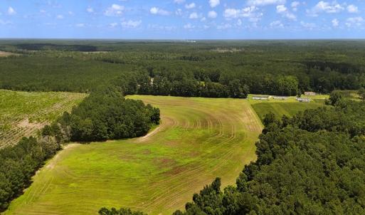 Photo #35 of 481 Nine Mile Rd, Maple Hill, NC 65.3 acres