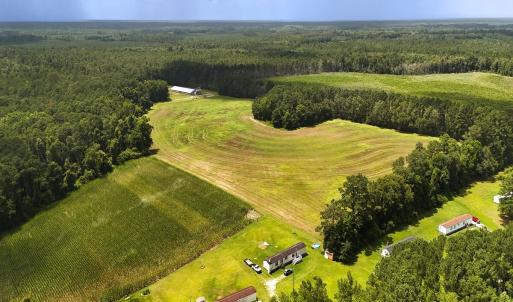 Photo #4 of 481 Nine Mile Rd, Maple Hill, NC 65.3 acres