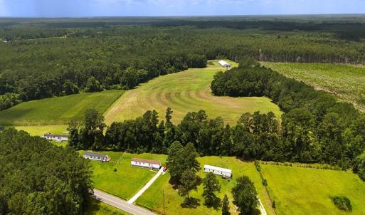 Photo #5 of 481 Nine Mile Rd, Maple Hill, NC 65.3 acres